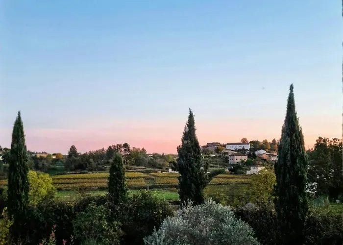 Villa Les Vignes De Pagès - De Standing Lablachère