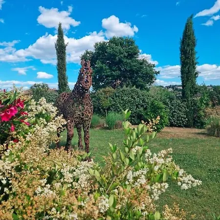 Les Vignes De Pages - De Standing Villa *