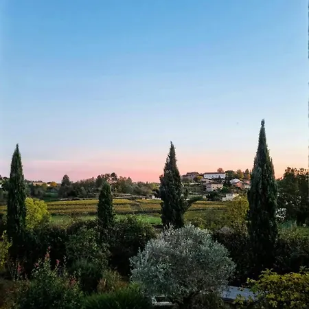 Villa Les Vignes De Pages - De Standing Lablachère